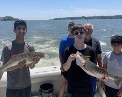 Two striped bass fishing in Maryland