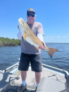 Angler with 24-inch fish in Homosassa