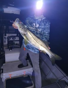 A fishing adventure in Homosassa