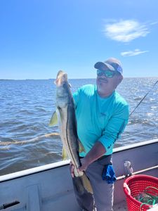 Fishing in the beautiful waters of Homosassa