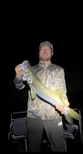One angler fishing in Homosassa