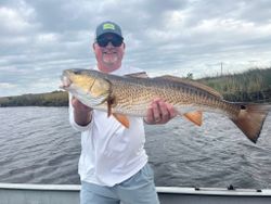 Redfish catch displayed on fishing boat in Homosassa FL waters