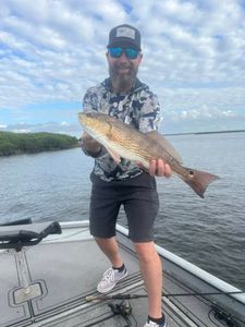 Redfish caught while fishing in Homosassa FL