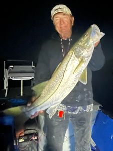 Snook, a 25-inch fish caught while fishing in FL