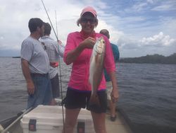 A redfish caught in Homosassa, Florida