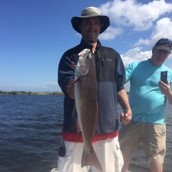 Redfish caught in Homosassa