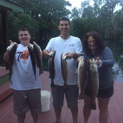 6 fish caught in Homosassa
