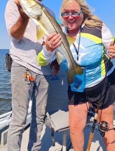 A lone snook, a 16-inch fish, caught while fishing in Homosassa