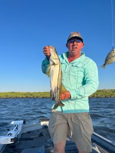 Snook fish caught by angler in Florida