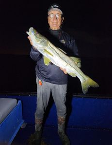 Impressive snook fish caught in Florida while fishing