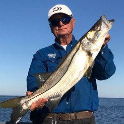 Snook fishing in Florida
