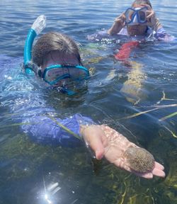 Snorkelers observing marine life in clear water in Homosassa FL