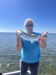 Nice speckled trout on light tackle jigging in clear conditions!