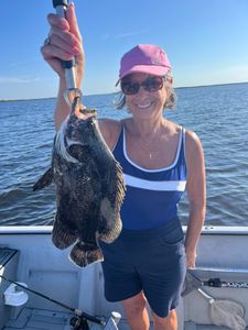 Tripletail fish caught while fishing in FL