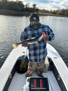 Flyfishing dream day on the flats