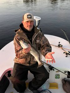 Fly cast lands perfect in the flats