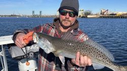 Trout on fly, glassy water morning