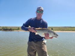 Redfish on the fly in VA shallows