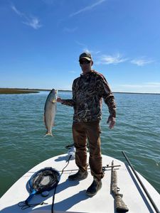 One 21-inch fish caught while fishing in VA