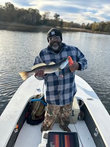 Sight casting trout, Virginia coast