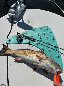 On the fly 