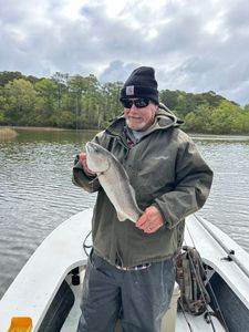 Pops getting some 
