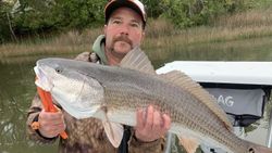 Redfish caught in VA while fishing