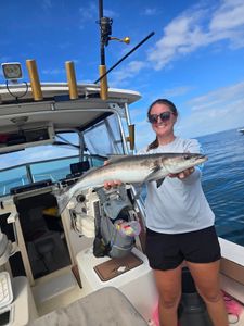 Cobia catch displayed on fishing boat in Naples FL waters
