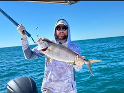 Greater amberjack caught while fishing in Naples FL waters
