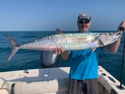 King mackerel caught while fishing in Naples FL waters