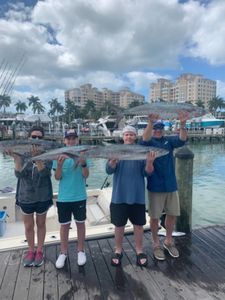 King mackerel catch displayed on dock in Naples FL after successful fishing trip