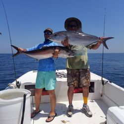 Two greater amberjack and longfin yellowtail fish caught in FL