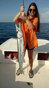 Photograph of a large great barracuda fish caught in Florida