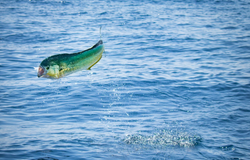 Scenic view of West Palm Beach, Florida