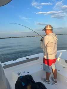 Waves of Wonder: Chesapeake Bay Fishing Thrills