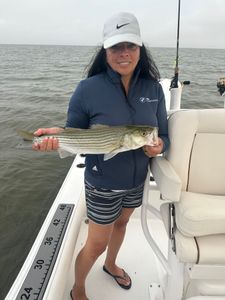 Striped Sails: Bass Fishing Extravaganza