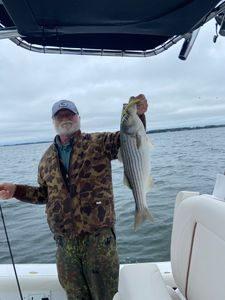 Shoreline Serenity: Striped Bass Fishing Bliss