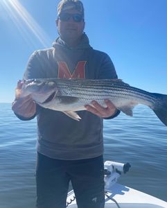 Sea, Sun, and Stripes: Bass Fishing Excursion