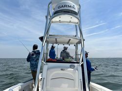 Mariner's Majesty: Chesapeake's Fishing Wonders