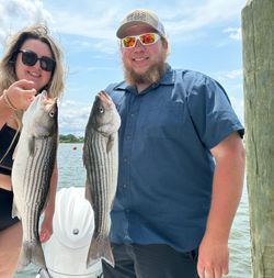 Captain's Canvas: Striped Bass Fishing!