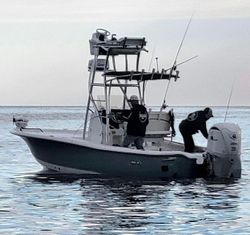 Journey to Jetties: Chesapeake Bay Fishing Fun