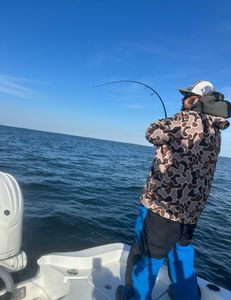 Fishing on the rocks in Rock Hall