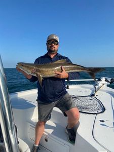 Cobia, a big fish, caught while fishing in Rock Hall