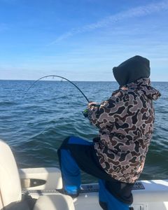 Fishing in MD