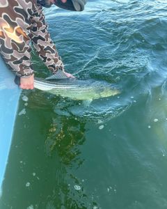 Fishing in Maryland