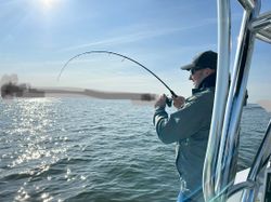 Lone angler fishing at Rock Hall
