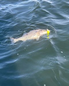Fishing trip in MD