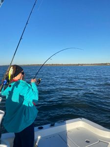 Fishing trip in Rock Hall