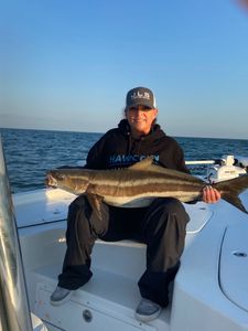 A lone Cobia, a 31-inch big fish caught in MD