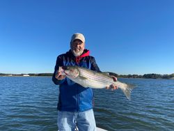 Striped Bass caught by angler in MD